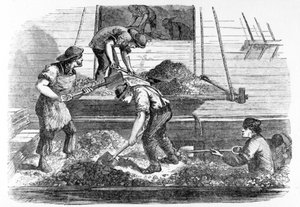 プールで作業中のバラストヒーバー、ヘンリーメイヒュー作「ロンドンレイバーとロンドンプアー」のイラスト、1840年代頃