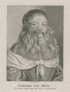 1668年にロンドンで上映された毛むくじゃらの顔を持つ女性、バーバラヴァンベック 作： English School