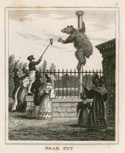 ベアピット、ロンドン動物園、リージェンツパーク