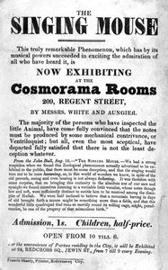 コスモラマルームズ、209リージェントストリート、c。 1836 作： English School