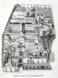 コールドバス・フィールド刑務所の鳥瞰図（Henry Mayhew（1812-87）とJohn Binnyによる「The Criminal Prisons of London and Scenes of Prison Life」より 作： English School