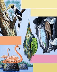 鳥のモンタージュ 作： English School