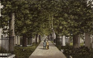 バーミンガム: Harbourne Avenue (カラーリソ) 作： English School