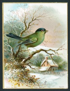 Blackcap Warbler、クリスマスカード 作： English School