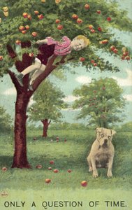 リンゴの木の上にいる少年と、彼が落ちるのを待っている犬（カラーリトグラフ） 作： English School
