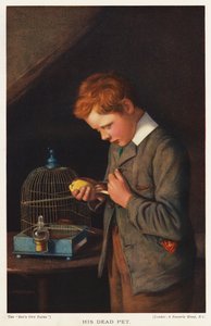 死んだペットのカナリアを連れた少年 (色リソ) 作： English School