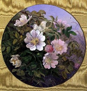 ブライヤー・ローズ」1890年頃（紙に水彩） 作： English School