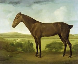 丘陵の風景の中の茶色の馬、1780〜1800年頃