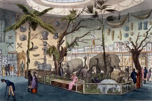 Bullocks Museum、22 Piccadilly、London、Ackermanns Repository of Arts、1809 作： English School