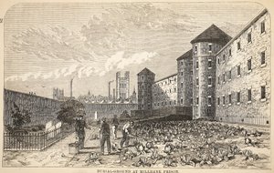 ミルバンク刑務所の埋葬地、ロンドンの刑務所刑務所のイラスト、ヘンリーメイヒューとジョンビニーによる刑務所の生活の情景。 1862 作： English School