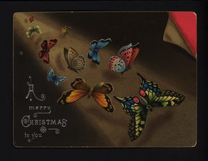 蝶、クリスマス・グリーティングカード、19世紀後半から20世紀初頭（クロモリソ） 作： English School