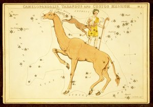 Camelopardalis, Tarandus and Custos Messium, pub.1825年（手彩色彫刻）。 作： English School