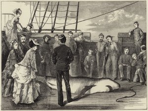 熱帯地方でのサメの捕獲 作： English School