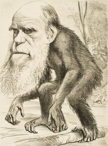 チャールズ・ダーウィンの風刺画 作： English School