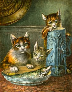 猫、触ってはいけない 作： English School