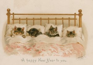 眠っている猫