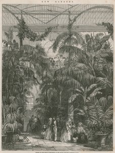 キュー王立植物園のグレートパームハウスの中心 作： English School