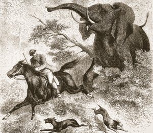 象に追われ、パブのJ.ユーイングリッチーによる、The Pictorial Edition of the Life and Discoveries of David Livingstoneのイラスト。 A. Fullarton＆Co.、1876年 作： English School