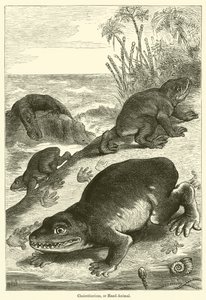 Cheirotherium, or Hand-Animal (e.g. engraving) 作： English School