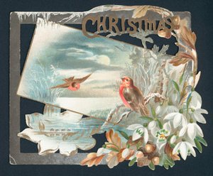 2つのロビン付きのクリスマスカード 作： English School