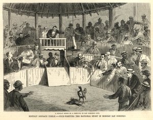 現代のサンドミンゴの国民的スポーツである闘鶏 作： English School