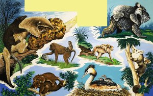 若者を運ぶ生き物 作： English School