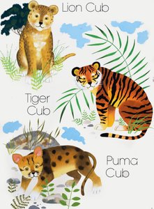 大きな猫のカブス 作： English School