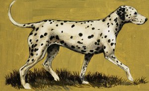 ダルメーション犬 作： English School