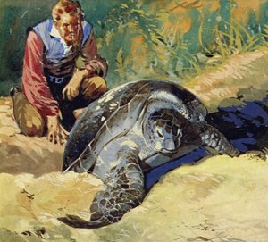 ダーウィンは、ガラパゴス諸島の巨大なカメが各島で異なるのはなぜか疑問に思いました 作： English School