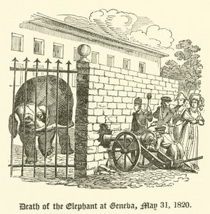1820年5月31日、ジュネーブでの象の死 作： English School