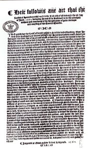 ボスウェル伯爵がダーンリー卿の殺人者であることを示す領主による宣言、1567（紙にペンとインク） 作： English School