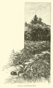 リッチモンド公園の住人 作： English School