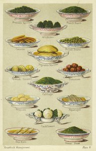 野菜料理 作： English School
