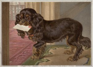 手紙をくわえた犬（クロモリト 作： English School