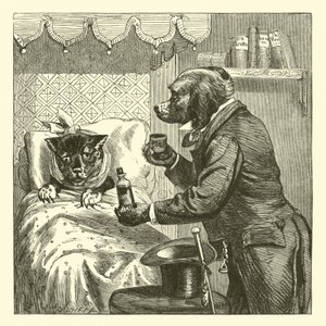 病気の猫に薬を与える犬 作： English School