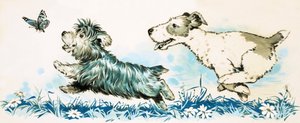 バタフライを追いかける犬 作： English School