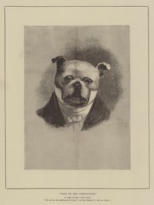株式会社の犬（彫刻 作： English School
