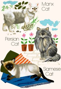 飼い猫 作： English School