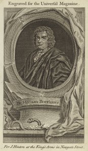 Herman Boerhaave博士 作： English School