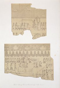 雄牛とクワガタとブタのいる森、コウジュンジク、Ninevehとその遺跡からのプレート12、オースティンヘンリーラヤード（1817-94）による1849年出版1849