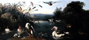 Ducks on a Pond（油彩・キャンバス） 作： English School