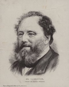 Edwin Lankester、イギリスの外科医、ナチュラリスト、セントラルミドルセックスの検死官 作： English School
