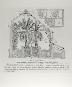 1897年から1905年にかけて出版されたJohn Wright著「The Fruit Grower