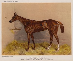 エンブレム、障害物競走の牝馬（カラーリトグラフ