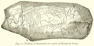 マンモスアイボリーにマンモスをエッチング 作： English School