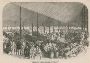 王立植物学会の展示 作： English School