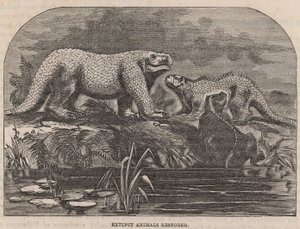 絶滅した動物が復元され、クリスタルパレスに展示されました 作： English School