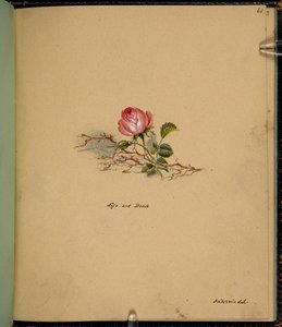 F. 61: バラ、生と死、「チャールズ ディケンズの物語のシーンを含むスケッチ ブック」から (紙に鉛筆と水彩) 作： English School