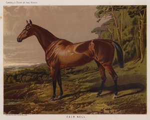 Fair Nell（カラーリトグラフ