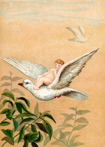 白鳩に乗る妖精